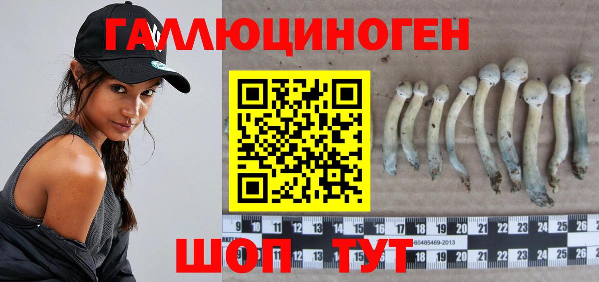 Кольчугино  Галлюциногенные грибы прущие грибы  Вход с VPN 